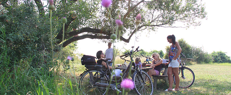 Mike's Bike - Radtour im Seewinkel